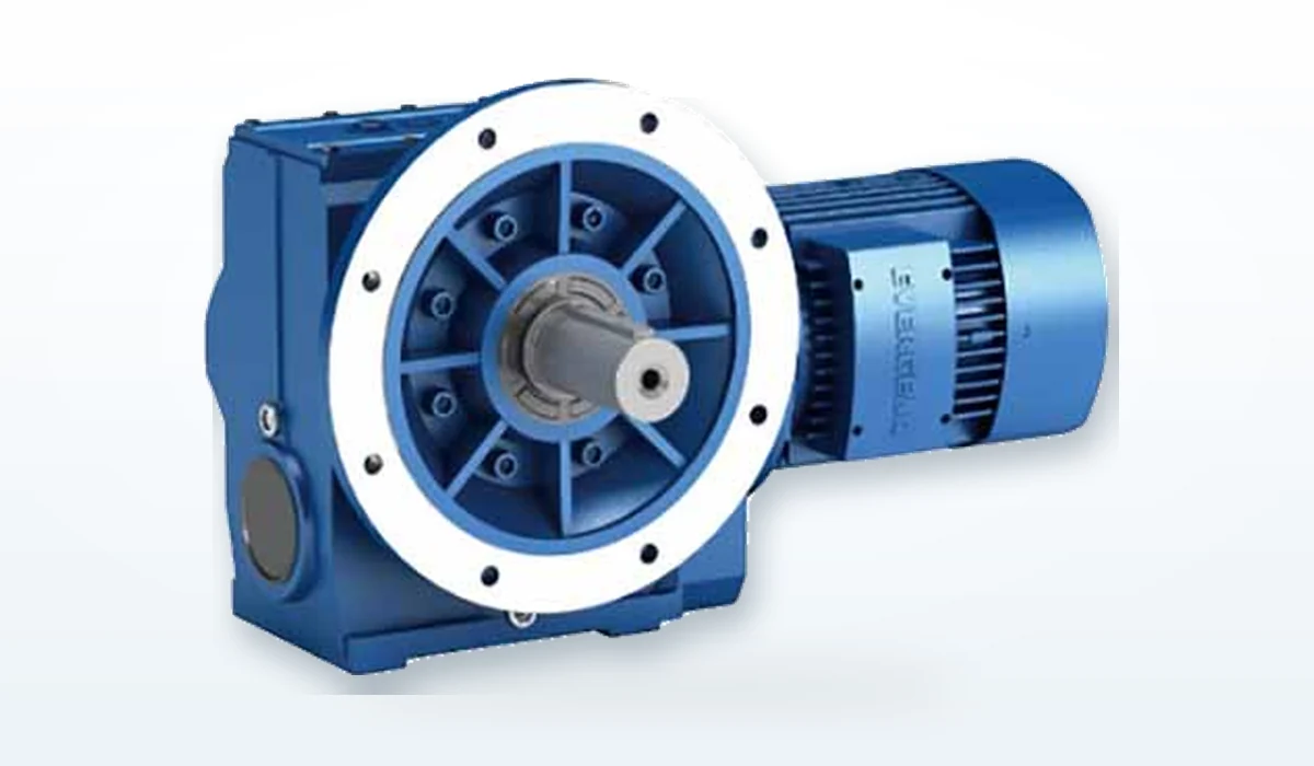 Động cơ giảm tốc bánh răng xoắn – trục vít ES - ảnh 4