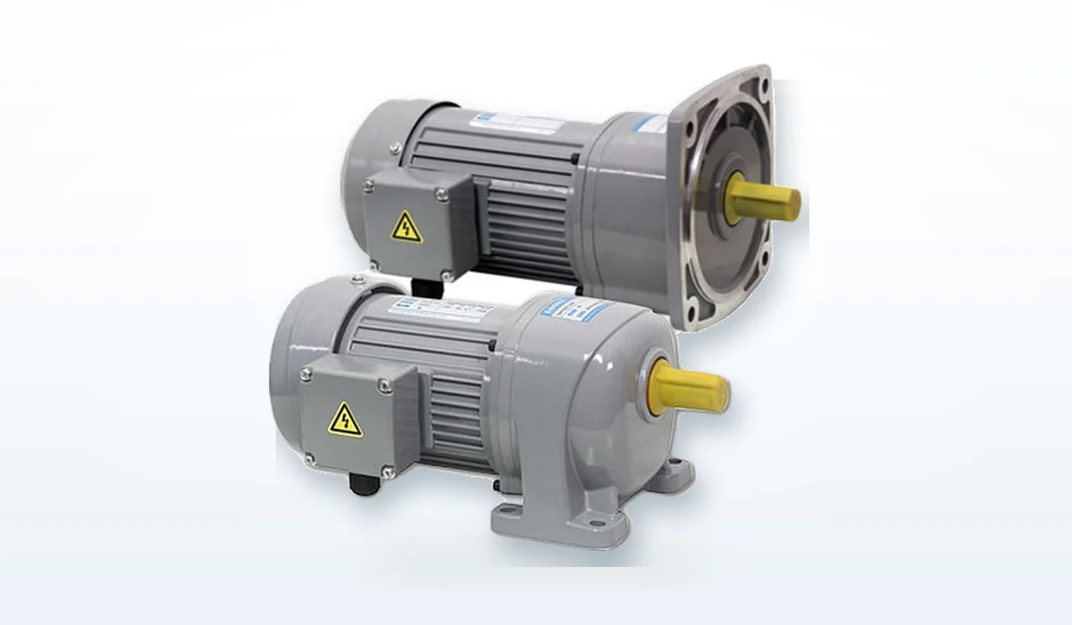 Motor giảm tốc mặt bích Houle - ảnh 4