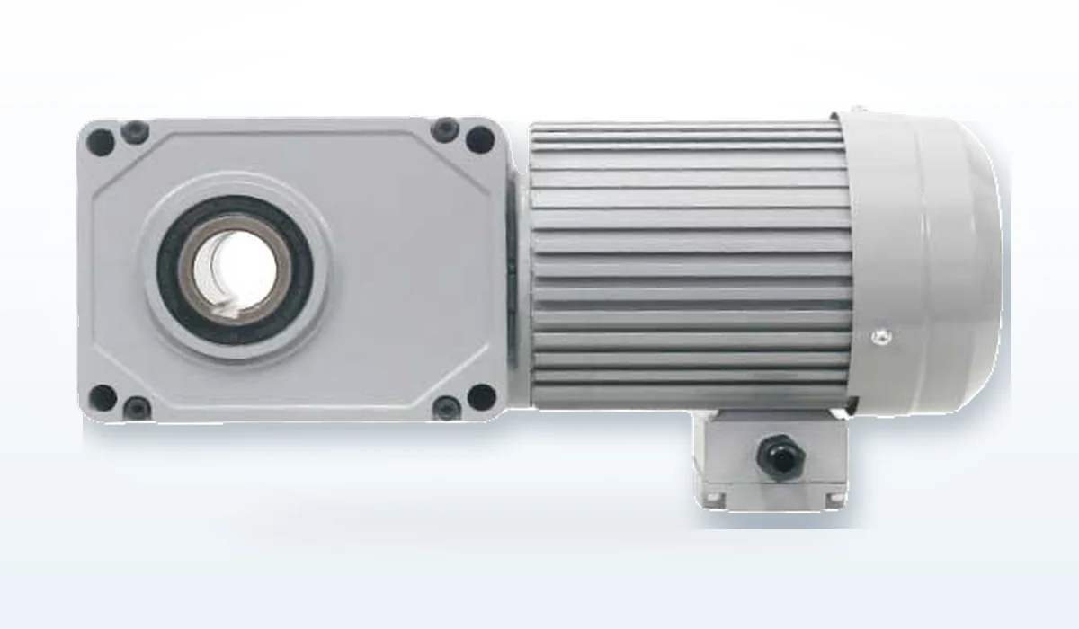 Motor giảm tốc trục vuông góc cốt âm Houle - ảnh 4