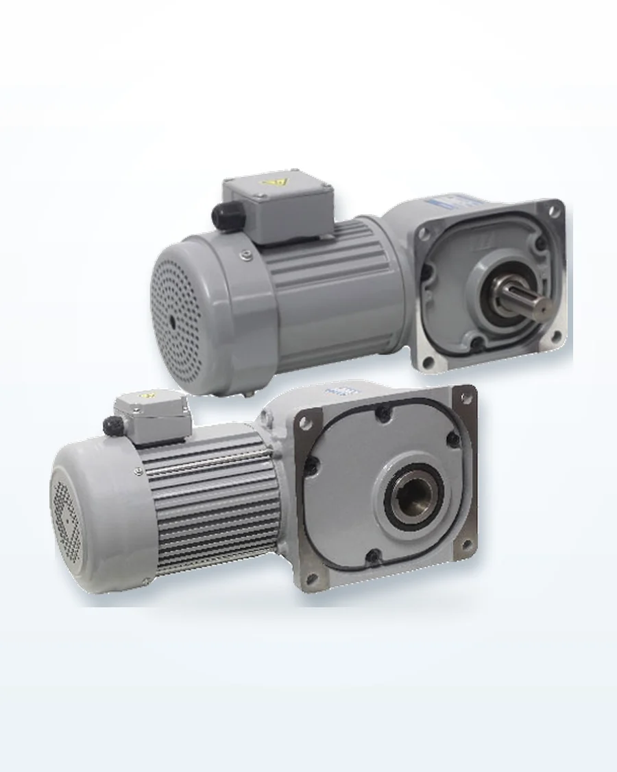 Motor giảm tốc trục vuông góc cốt dương Houle - ảnh 4