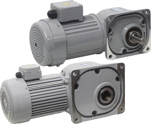 Motor giảm tốc trục vuông góc cốt dương Houle - ảnh 3