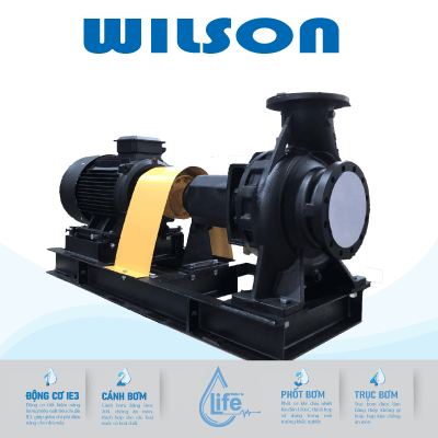 Máy bơm nước công nghiệp trục rời Wilson