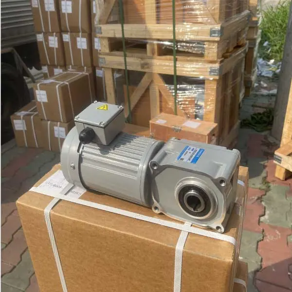 Motor giảm tốc Houle GH/GV mặt bích